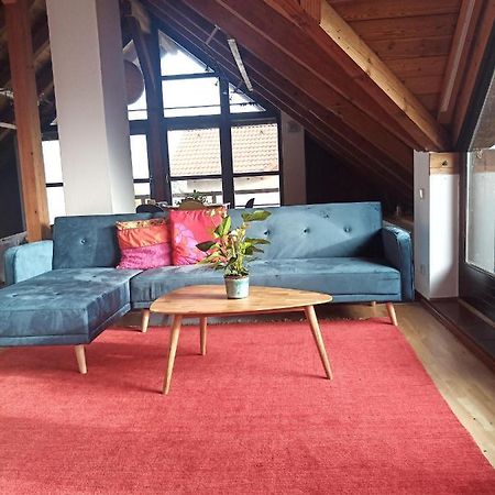 Ferienwohnung Zur Kirschblute Пурбах ам Нойзидлерзее Екстериор снимка