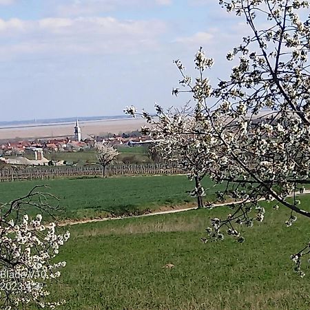 Ferienwohnung Zur Kirschblute Пурбах ам Нойзидлерзее Екстериор снимка