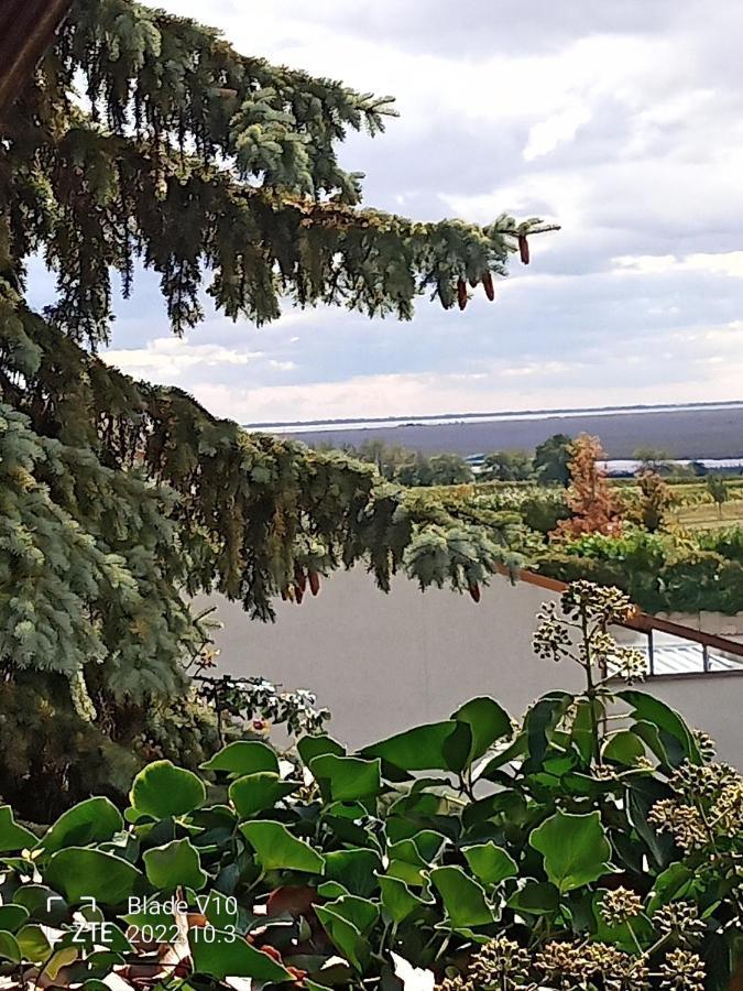 Ferienwohnung Zur Kirschblute Пурбах ам Нойзидлерзее Екстериор снимка