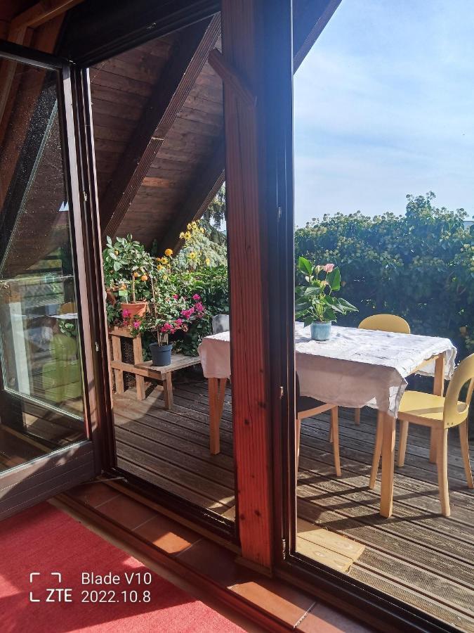 Ferienwohnung Zur Kirschblute Пурбах ам Нойзидлерзее Екстериор снимка