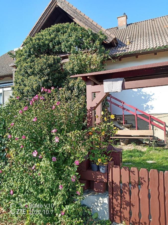Ferienwohnung Zur Kirschblute Пурбах ам Нойзидлерзее Екстериор снимка