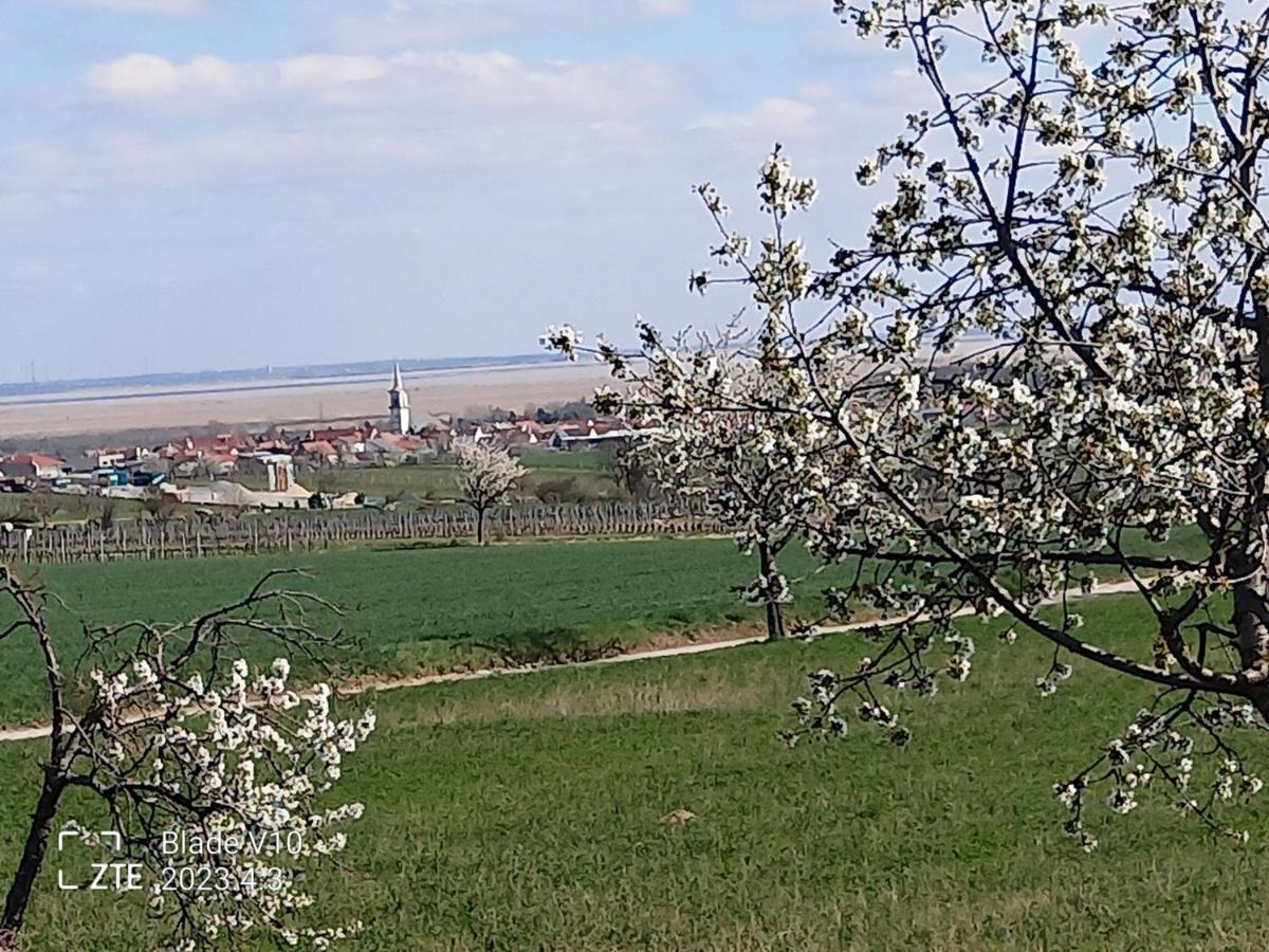 Ferienwohnung Zur Kirschblute Пурбах ам Нойзидлерзее Екстериор снимка